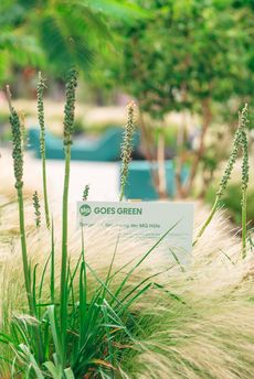 Hofbegrünung und MQ goes Green Schild