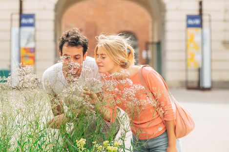 Zwei Personen bücken sich über eine Gruppe blühender Pflanzen vor einem historischen Gebäude mit Bögen und Bannern im Hintergrund.