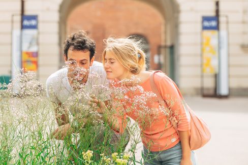 Zwei Personen bücken sich über eine Gruppe blühender Pflanzen vor einem historischen Gebäude mit Bögen und Bannern im Hintergrund.