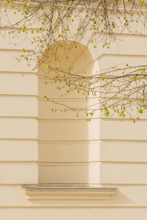 Empty niche with arch in a light-colored facade and branches with small leaves in the foreground