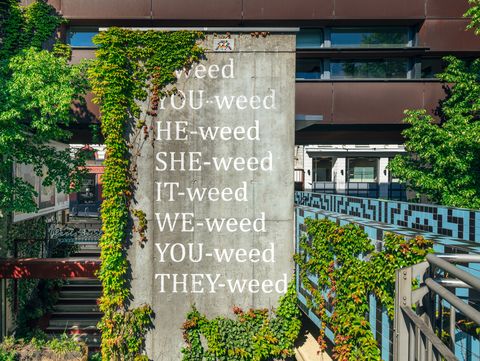 Betonwand mit der vertikal angeordneten weißen Schrift "weed YOU-weed HE-weed SHE-weed IT-weed WE-weed YOU-weed THEY-weed" umgeben von grünen Kletterpflanzen in einem urbanen Außenbereich.
