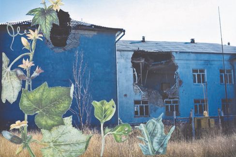 Blaues Gebäude mit großen Einschusslöchern und Pflanzenillustrationen im Vordergrund.