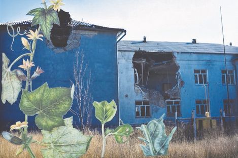 Blaues Gebäude mit großen Einschusslöchern und Pflanzenillustrationen im Vordergrund.