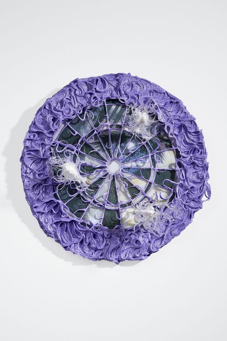 Round object with a central hole surrounded by a purple textured ruffled edge and a web of threads partially covered with white fibers