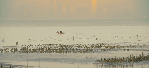 A small boat is crossing the sea against the backdrop of a city skyline.