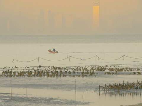 Ein kleines Boot fährt übers Meer, im Hintergrund ist die Skyline einer Stadt zu sehen.