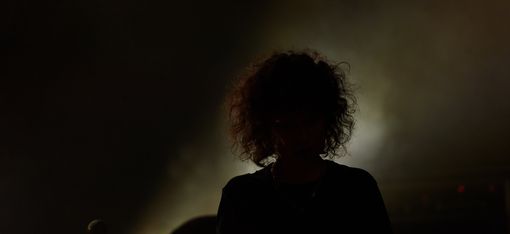Silhouette of a person with curly hair holding a microphone against bright backlight.