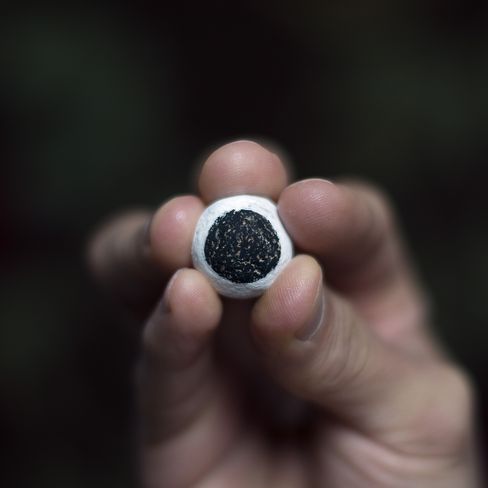 Hand holding a small white sphere with a black dot in the center