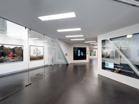 Modern exhibition space with white walls, glass display cases, and several framed pictures on the walls.