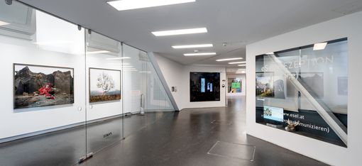 Moderner Ausstellungsraum mit weißen Wänden, Glasvitrinen und mehreren gerahmten Bildern an den Wänden.