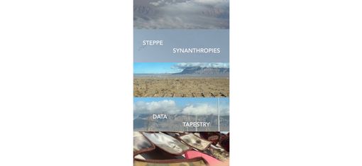 Three landscape photos stacked vertically with the words "STEPPE", "SYNANTHROPIES", "DATA", and "TAPESTRY" centered on each image.