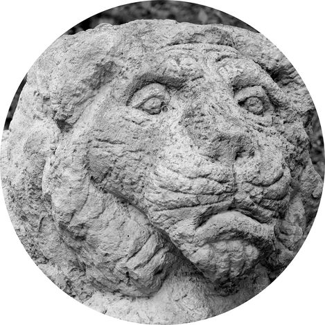 Schwarz-weißes, kreisförmig beschnittenes Detail einer verwitterten Steinskulptur eines Löwenkopfes mit geschlossenen Augen.