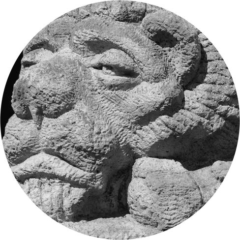Schwarz-weißes, kreisförmiges Detail einer Steinskulptur eines Löwen, seitlich aufgenommen, mit betonten Gesichtszügen.