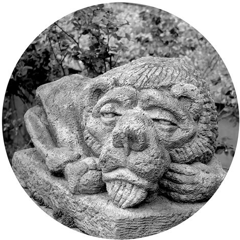 Schwarz-weißes, kreisförmiges Detail einer Steinskulptur eines Löwenkopfes mit ruhigem Gesichtsausdruck.