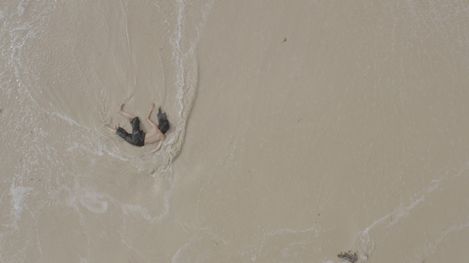 Aerial view of a person moving in shallow water on a sandy surface creating a wave.