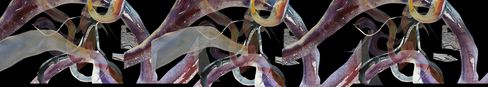Abstract depiction of intertwined organic shapes with transparent floating elements.