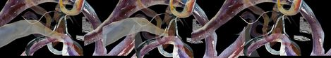 Abstract depiction of intertwined organic shapes with transparent floating elements.