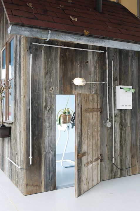 Close-up of a small weathered wooden house with an open door, revealing a plant on a table inside.