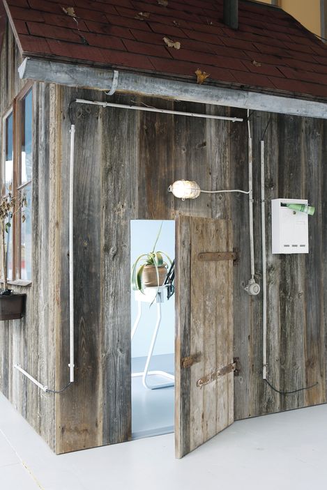 Close-up of a small weathered wooden house with an open door, revealing a plant on a table inside.