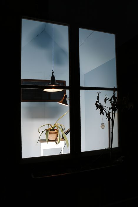Room installation with a potted plant on a small table and a desk lamp against a light blue wall, viewed through a window.