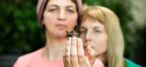 Auf dem Foto sind zwei Frauen zu sehen. Sie betrachten einen Frosch, der auf den Fingerspitzen der Frau im Vordergrund sitzt.