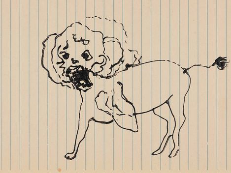 Drawing of a lion on paper