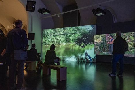 Several people watch two large screens showing nature scenes in a dark room, one person sits on a bench