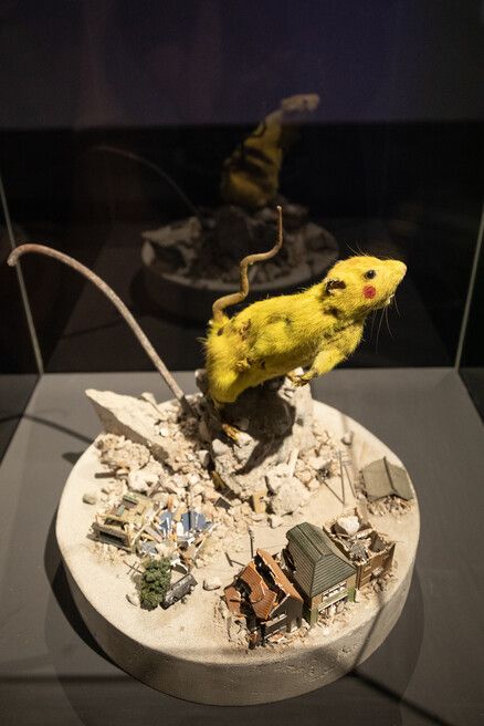 A yellow, taxidermied rodent with red eyes on a rocky base, surrounded by miniature models of houses and debris, under museum lighting.