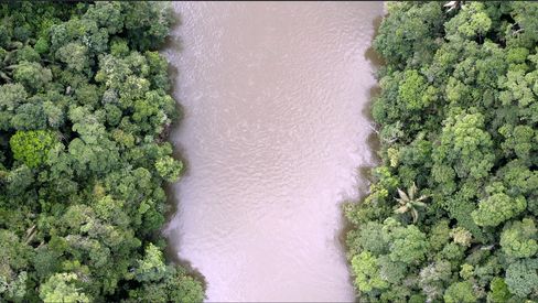Aerial view of a wide river flanked by dense green forest on both banks