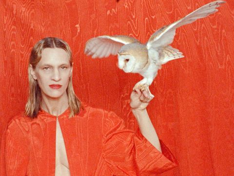 Red-clad person holding a white owl on their finger against a red backdrop.