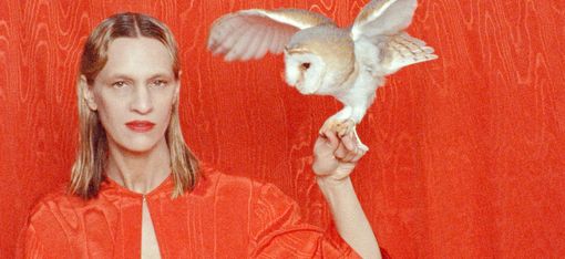 Red-clad person holding a white owl on their finger against a red backdrop.