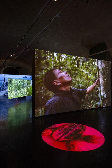 Dark exhibition space with multiple large projected images including a person touching a tree and a circular red pattern projected on the floor.