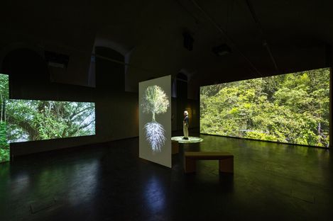 Dark exhibition room with several large screens showing forest landscapes and a tree with roots, a person stands on an illuminated platform in front