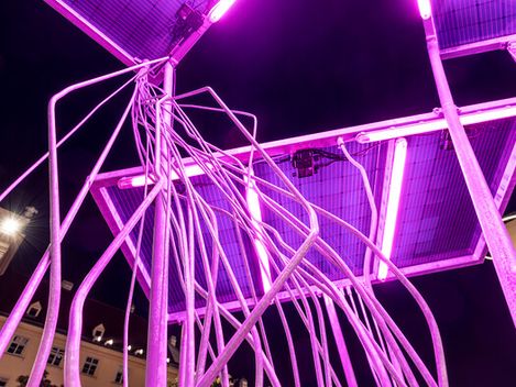 Nächtliche Neon-Skulptur aus pink leuchtenden Metallsträngen vor Gebäuden.