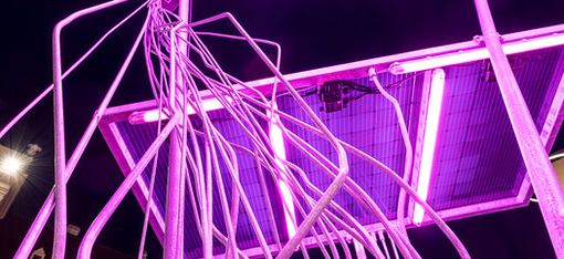 Nächtliche Neon-Skulptur aus pink leuchtenden Metallsträngen vor Gebäuden.