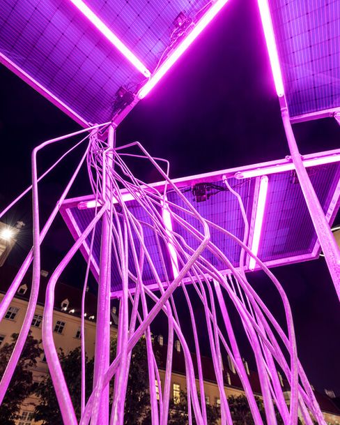 Nächtliche Neon-Skulptur aus pink leuchtenden Metallsträngen vor Gebäuden.