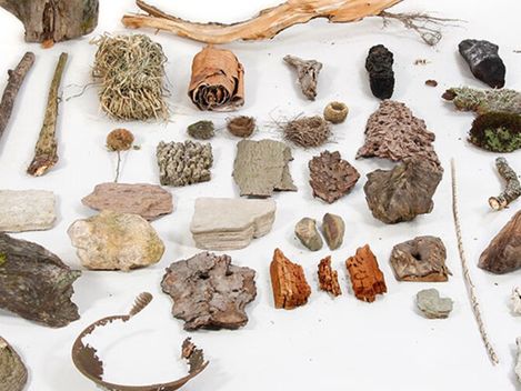 Various natural materials including bark, twigs, moss, and stones arranged on a white background