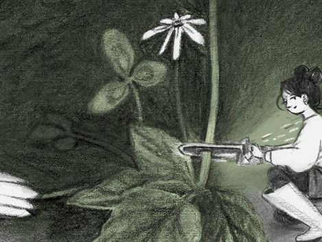 Person kniet und hält eine Taschenlampe, die auf eine große Blume und Blätter gerichtet ist