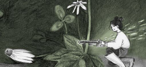 Person kniet und hält eine Taschenlampe, die auf eine große Blume und Blätter gerichtet ist