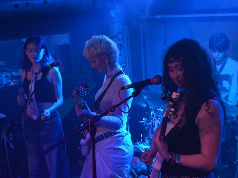 The band HALS MAUL is on stage. The musicians are currently playing a concert.