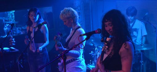 The band HALS MAUL is on stage. The musicians are currently playing a concert.