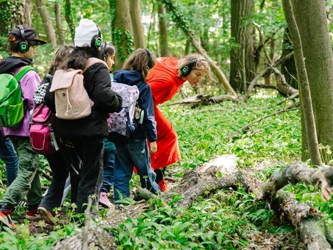 A group of children are in the woods with an actress dressed as Little Red Riding Hood. They are wearing headphones and looking at a fallen tree trunk.