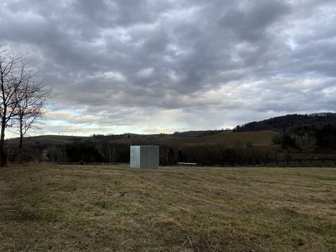 Landschaft mit hügeligem Grasland, einem kahlen Baum links, einem kleinen grauen Kubus in der Mitte und bewölktem Himmel.