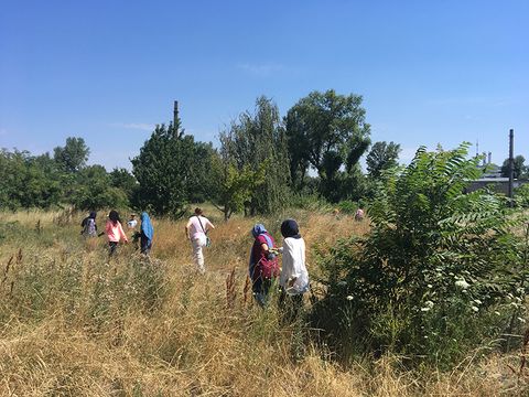 In a very tall meadow dotted with bushes and trees, several people are walking away from us.