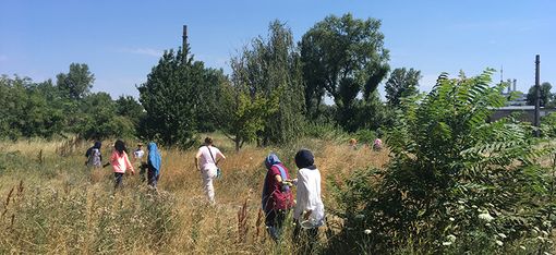 In a very tall meadow dotted with bushes and trees, several people are walking away from us.
