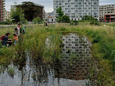 The picture shows a pond surrounded by tall grass, with the surrounding high-rises reflected in the water. Four people are standing on the right side.