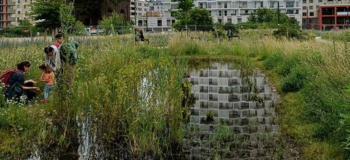 Im Bild sieht man einen Teich mit viel hohem Gras rundherum, indem sich die umliegenden Hochhäuser spiegeln. Vier Personen stehen auf der rechten Seite.